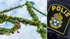A rowdy Midsummer across the country: "They're all...